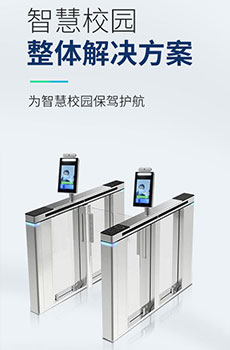 成功案例二(图1)